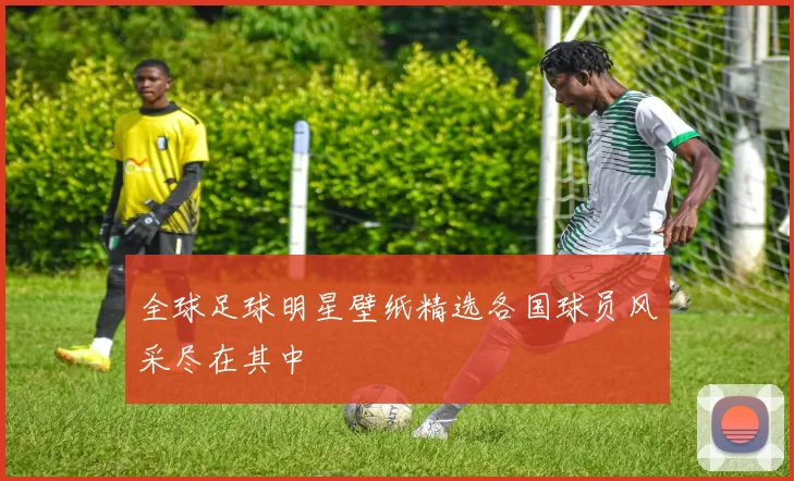 全球足球明星壁纸精选各国球员风采尽在其中