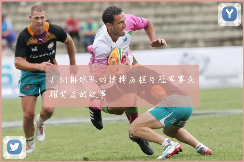 广州排球队的拼搏历程与冠军赛荣耀背后的故事
