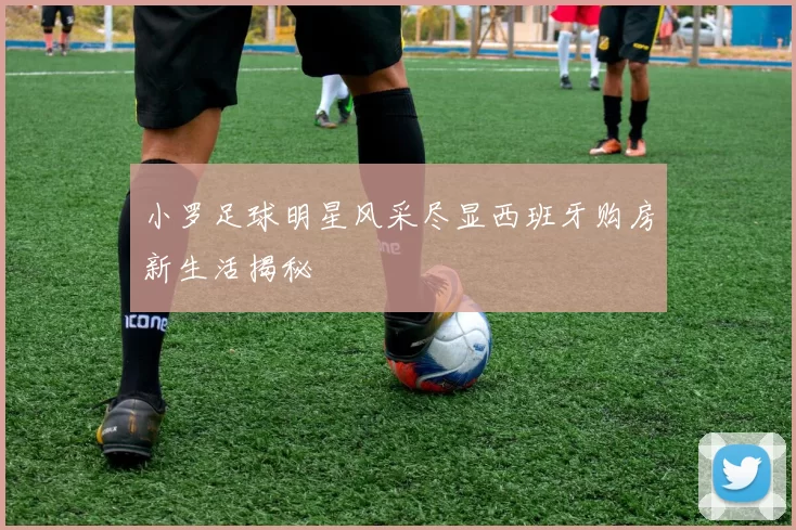 小罗足球明星风采尽显西班牙购房新生活揭秘