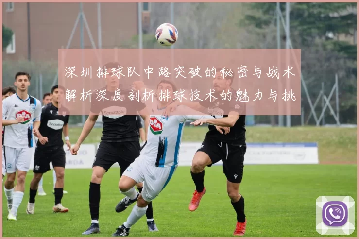 深圳排球队中路突破的秘密与战术解析深度剖析排球技术的魅力与挑战