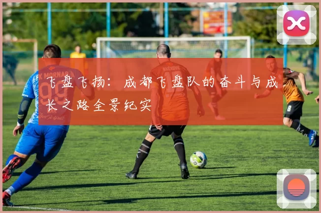 飞盘飞扬：成都飞盘队的奋斗与成长之路全景纪实