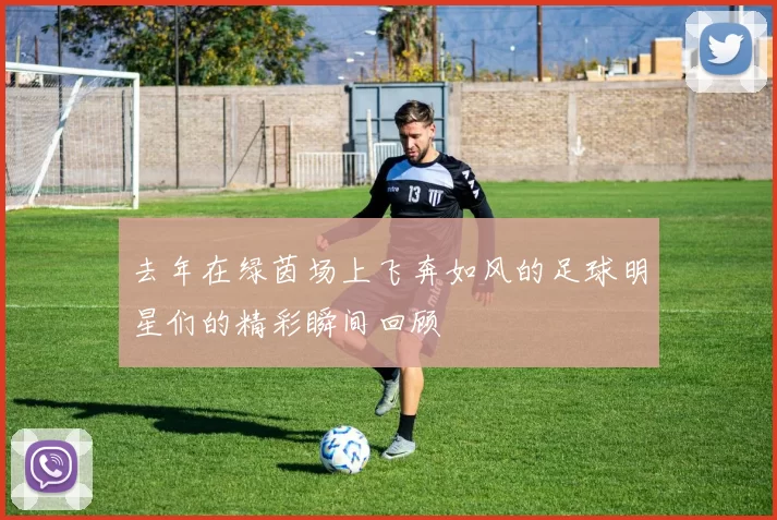去年在绿茵场上飞奔如风的足球明星们的精彩瞬间回顾