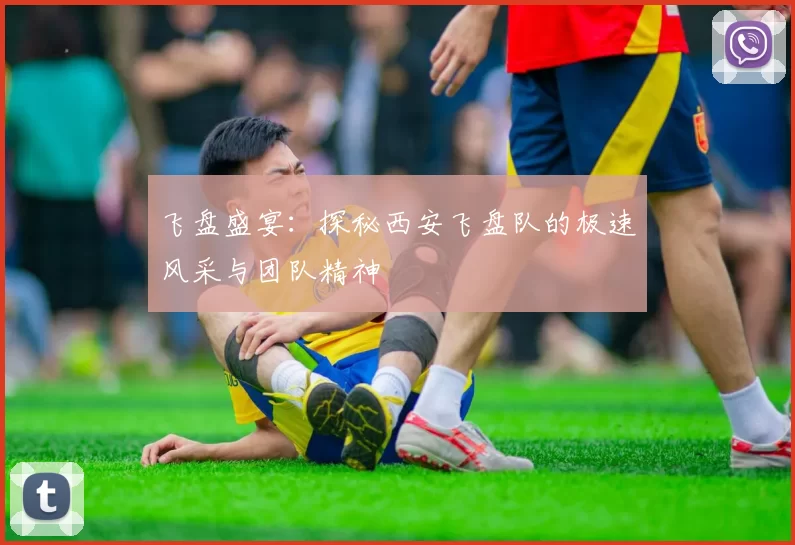 飞盘盛宴：探秘西安飞盘队的极速风采与团队精神