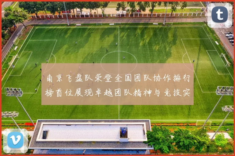 南京飞盘队荣登全国团队协作排行榜首位展现卓越团队精神与竞技实力