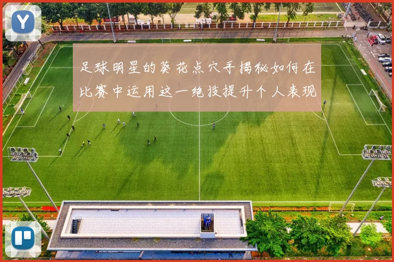 足球明星的葵花点穴手揭秘如何在比赛中运用这一绝技提升个人表现与团队胜利