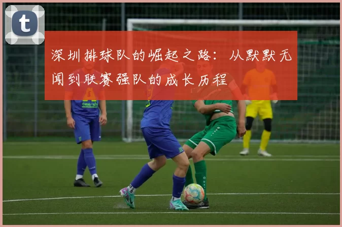 深圳排球队的崛起之路：从默默无闻到联赛强队的成长历程
