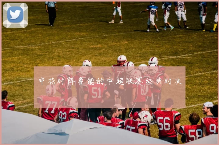 申花对阵鲁能的中超联赛经典对决