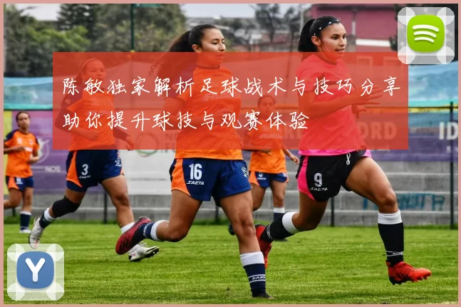 陈敏独家解析足球战术与技巧分享助你提升球技与观赛体验