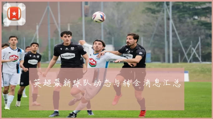 英超最新球队动态与转会消息汇总