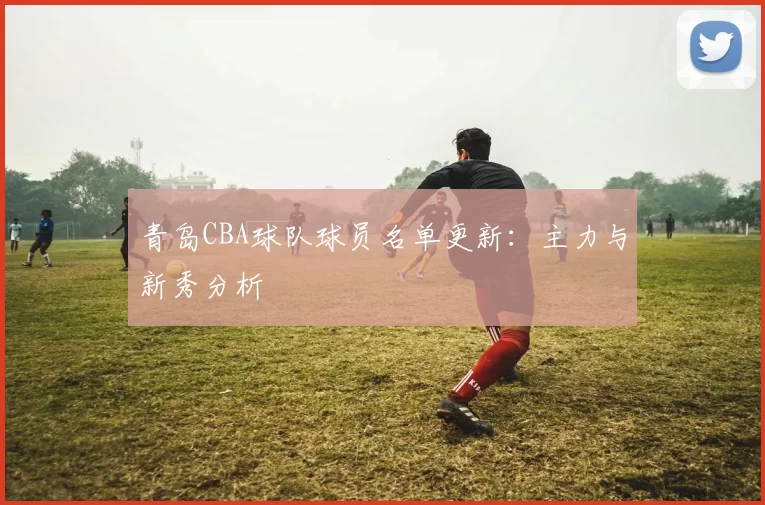 青岛CBA球队球员名单更新：主力与新秀分析