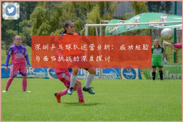 深圳乒乓球队运营分析：成功经验与面临挑战的深度探讨