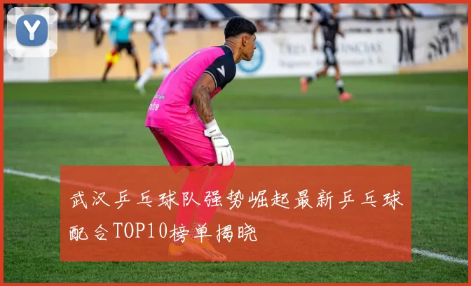 武汉乒乓球队强势崛起最新乒乓球配合TOP10榜单揭晓