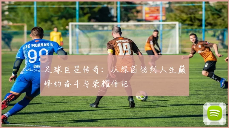 足球巨星传奇：从绿茵场到人生巅峰的奋斗与荣耀传记